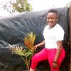 user3197425333451