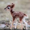 khaled_2070_