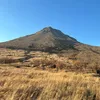 fai10__