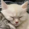 .xzwq_1