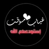 mohamedashour8445