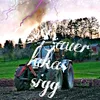 lukas_sigg