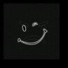 dik.16__