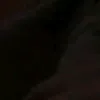 antoniosloyaltokath