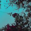 zenup11