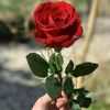 mar070924
