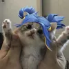 x_x_cccl