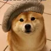 sunsetdoge