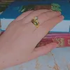 bb_hh_ss