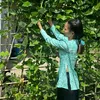 thanhhuong66tm