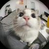 nose777564