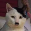 bug0hugo2
