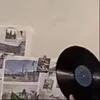 defonotsmaya