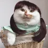 Pet đáng yêu tới cỡ nào