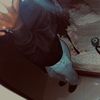 ariadne_conceic