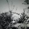 anitaevans145