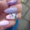 marionschubert8