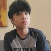 emer.sjr