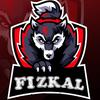 fizkal17