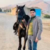hemn.husen11