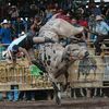 jaripeo_ranchero5