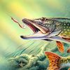 kayak_fishing21
