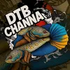 dtb_chana_fish