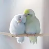 thiiee1