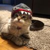 lilrileyez