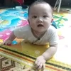 bedua20233