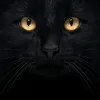 sergey.kruk4