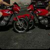 bronan3036