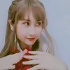 paploi_0.0_