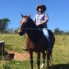 arismar00
