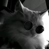 chan0811_