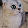 mimi123053