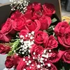 marla.ramirez711