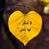 user54048390316826