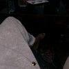 alixbadshah2