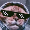 l7z70
