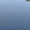 murilo_pellanda