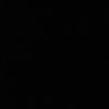 ant_fs