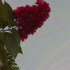 bemai08032562