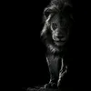 sajad_343