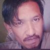 surat6608