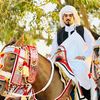 alimahmmed506