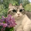 onlisoft11