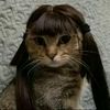 _tila2