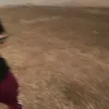 luatsungoaigiohanhchinh