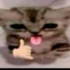 kamazzotz